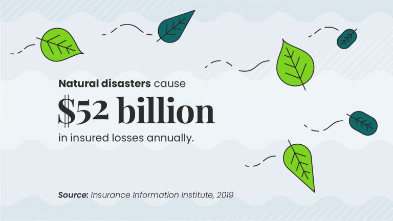 losses to Natural Disasters