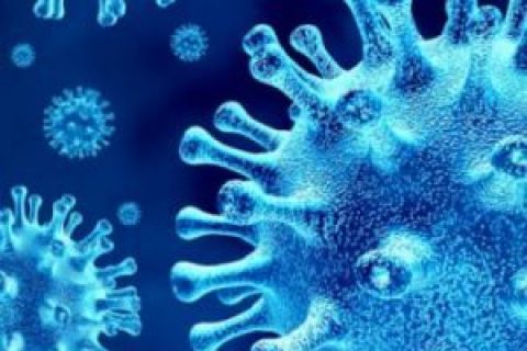 Microscopic view of coronavirus