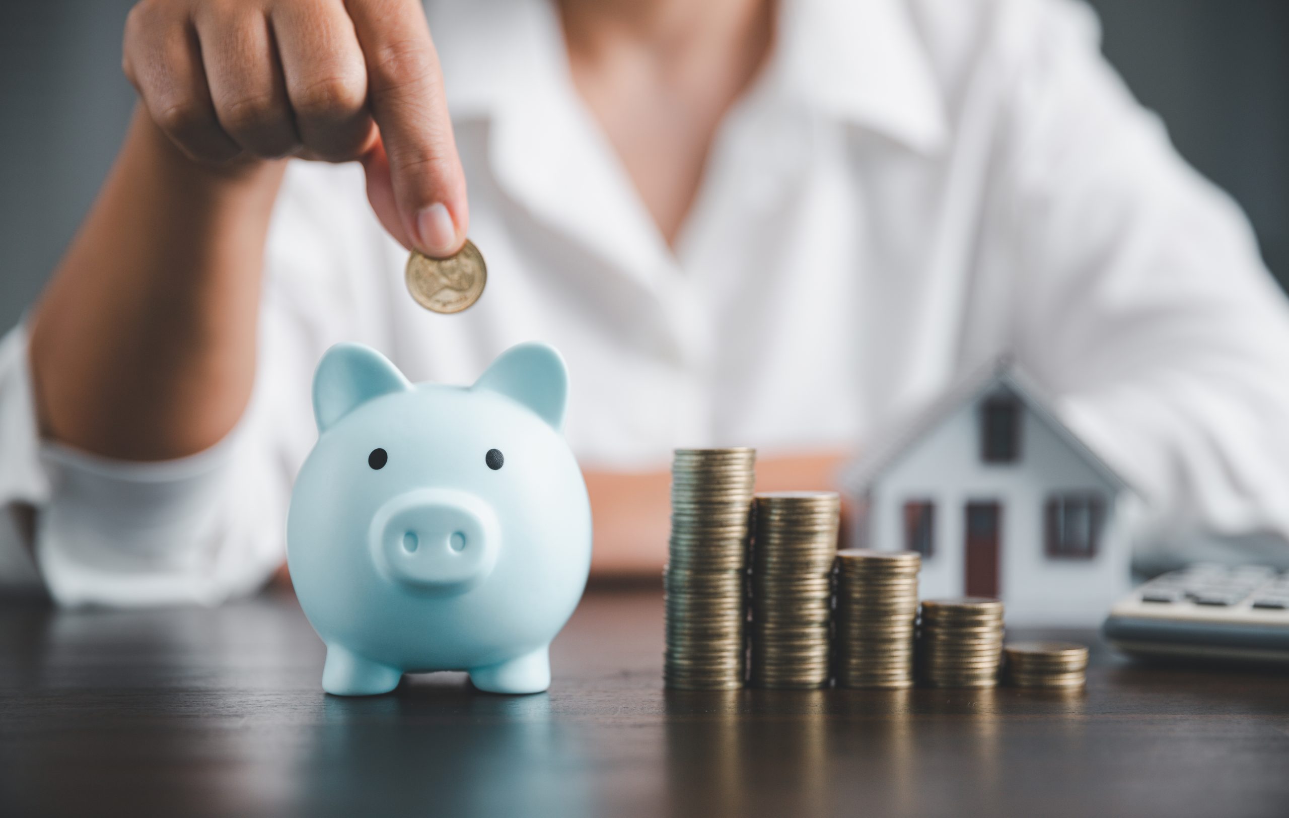 Person putting money into piggy bank