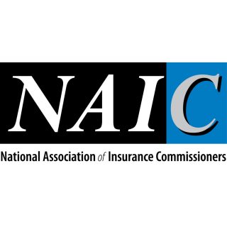 NAIC Logo