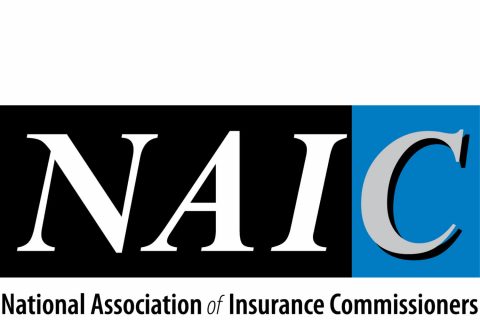 NAIC Logo