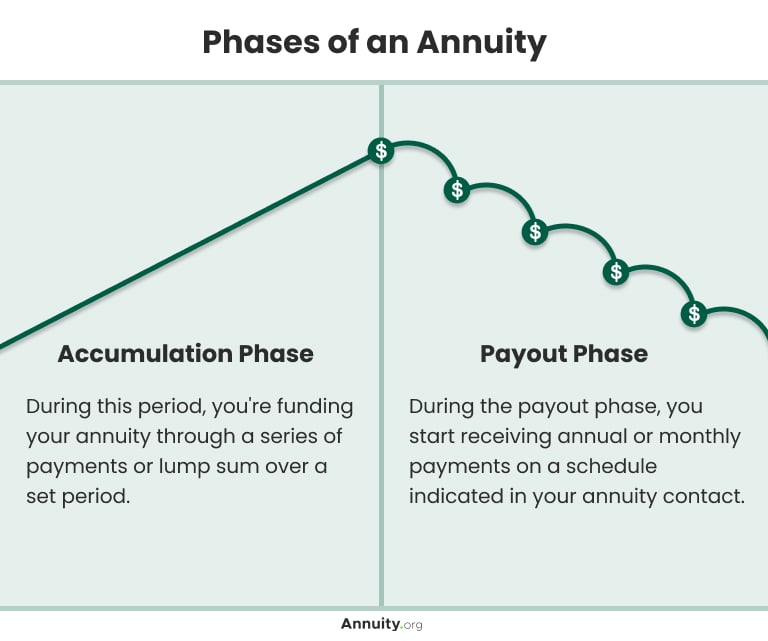 Phases of an Annuity