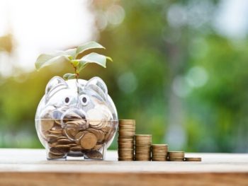 piggy bank