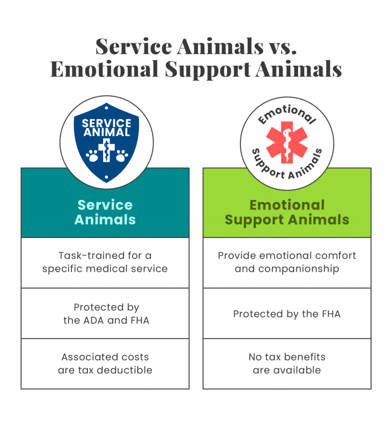 Service Animals vs Emotional Support Animals