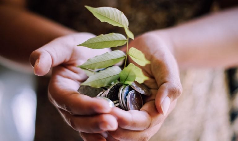 Photo of hands holding a plant and coins