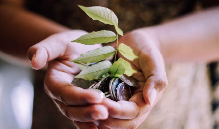 Hands Holding Plant