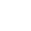 White duotone dollar icon