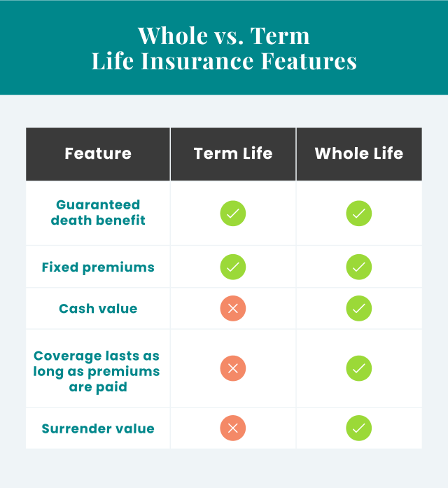 Whole vs. term life insurance features