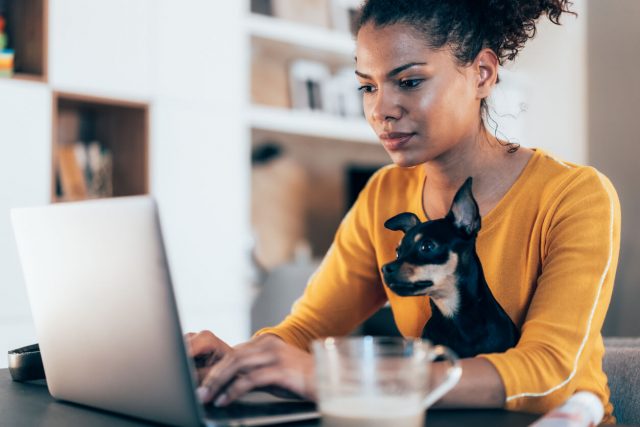 Woman researching on laptop with a small dog on her lap