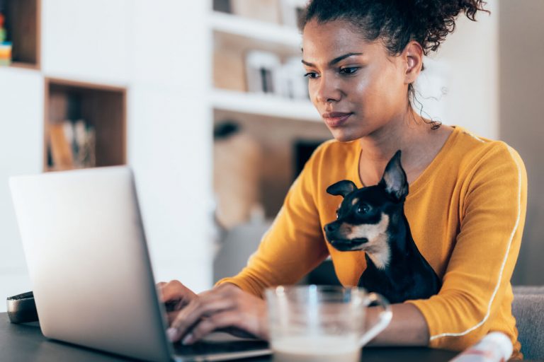 Woman researching on laptop with a small dog on her lap