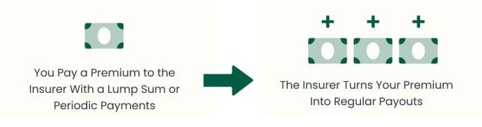 paying the premium graphic
